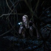 Crawl - galeria zdjęć - filmweb