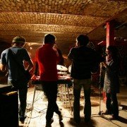Kasi az gorbehaye irani khabar nadareh - galeria zdjęć - filmweb