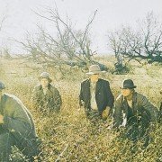 Banda - galeria zdjęć - filmweb