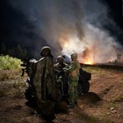 Troll - galeria zdjęć - filmweb