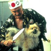 Kasjerzy czy kasiarze? - galeria zdjęć - filmweb
