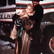 Bus Stop - galeria zdjęć - filmweb