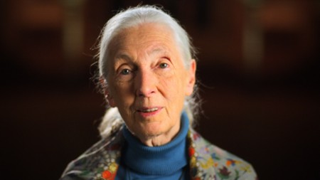 Sezon 1 Odcinek 7 Jane Goodall