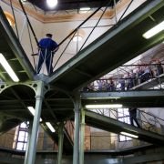 Kajinek - galeria zdjęć - filmweb