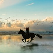 Tempête - galeria zdjęć - filmweb