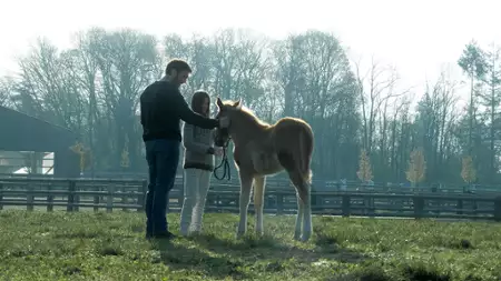 Siła naszych marzeń - galeria zdjęć - filmweb