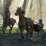 Siła naszych marzeń - galeria zdjęć - filmweb