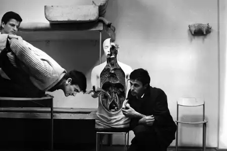 Bariera - galeria zdjęć - filmweb