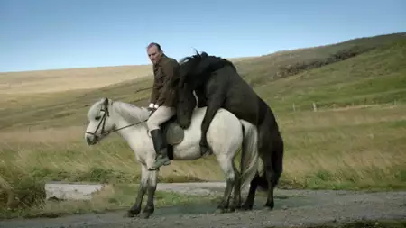 O koniach i ludziach - galeria zdjęć - filmweb