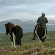O koniach i ludziach - galeria zdjęć - filmweb