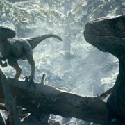 Jurassic World Dominion - galeria zdjęć - filmweb