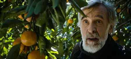 Mandarynki - galeria zdjęć - filmweb