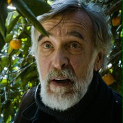 Ivo