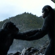Dawn of the Planet of the Apes - galeria zdjęć - filmweb