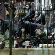 Dawn of the Planet of the Apes - galeria zdjęć - filmweb