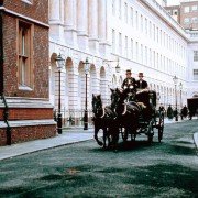 Basil - galeria zdjęć - filmweb