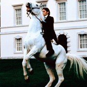Basil - galeria zdjęć - filmweb