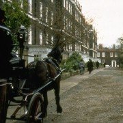 Basil - galeria zdjęć - filmweb
