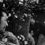 Sanjuro - Samuraj znikąd - galeria zdjęć - filmweb