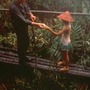 Bat 21 - galeria zdjęć - filmweb
