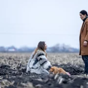 Pereviznytsya - galeria zdjęć - filmweb