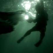 Rogue - galeria zdjęć - filmweb