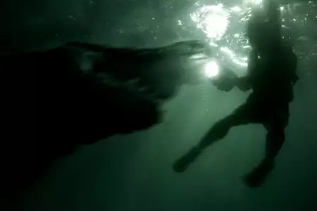 Zabójca - galeria zdjęć - filmweb