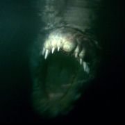Rogue - galeria zdjęć - filmweb