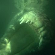 Rogue - galeria zdjęć - filmweb