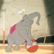 Dumbo - galeria zdjęć - filmweb