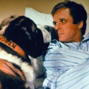 Beethoven - galeria zdjęć - filmweb