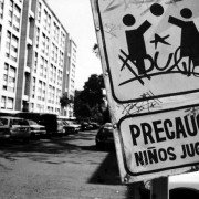 Temporada de patos - galeria zdjęć - filmweb