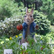 Peter Rabbit 2: The Runaway - galeria zdjęć - filmweb
