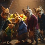 Peter Rabbit 2: The Runaway - galeria zdjęć - filmweb