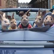 Peter Rabbit 2: The Runaway - galeria zdjęć - filmweb