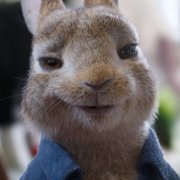 Peter Rabbit 2: The Runaway - galeria zdjęć - filmweb