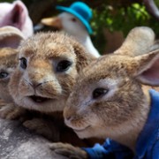 Peter Rabbit 2: The Runaway - galeria zdjęć - filmweb
