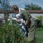 Strefa interesów - galeria zdjęć - filmweb
