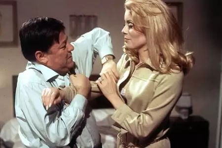 Piękność dnia - galeria zdjęć - filmweb