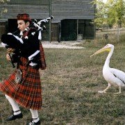 Les 11 commandements - galeria zdjęć - filmweb