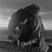 Bait - galeria zdjęć - filmweb