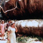 Beyond Rangoon - galeria zdjęć - filmweb