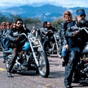 Poza prawem - galeria zdjęć - filmweb