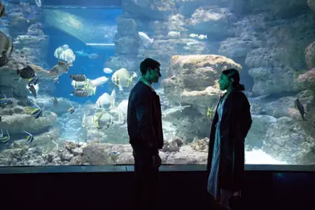 Plan na miłość - galeria zdjęć - filmweb