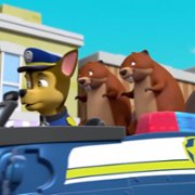 PAW Patrol - galeria zdjęć - filmweb