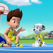 PAW Patrol - galeria zdjęć - filmweb