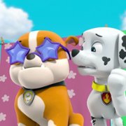 PAW Patrol - galeria zdjęć - filmweb