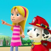 PAW Patrol - galeria zdjęć - filmweb