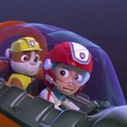 PAW Patrol - galeria zdjęć - filmweb