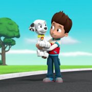 PAW Patrol - galeria zdjęć - filmweb